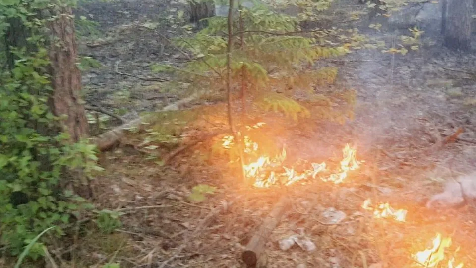 Фото: ГКУ МО «Мособлпожспас»