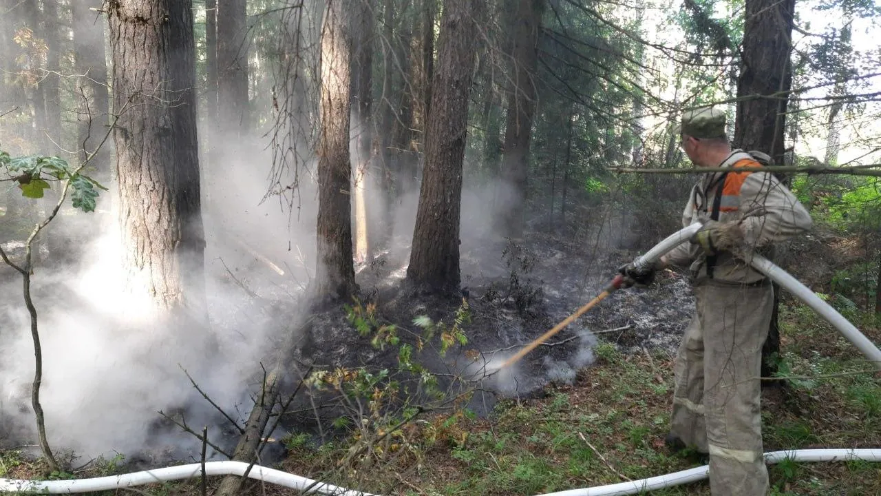 Комитет лесного хозяйства Московской области