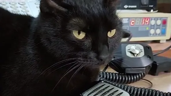 ГУ МЧС России по Московской области