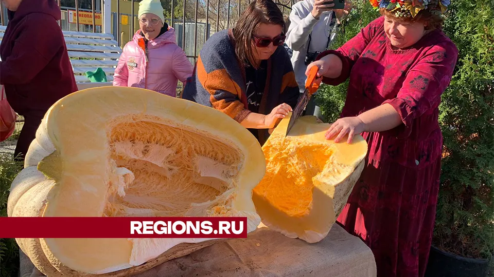 Фото: Алена Бабакина