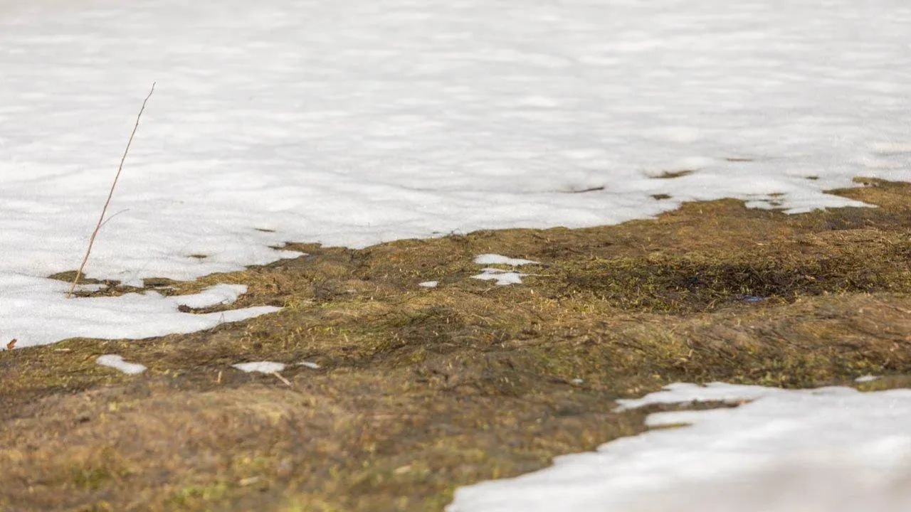 REGIONS/Роман Малышенко