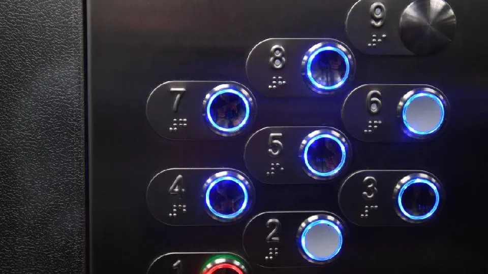 Фото: РИА Новости/Владимир Песня