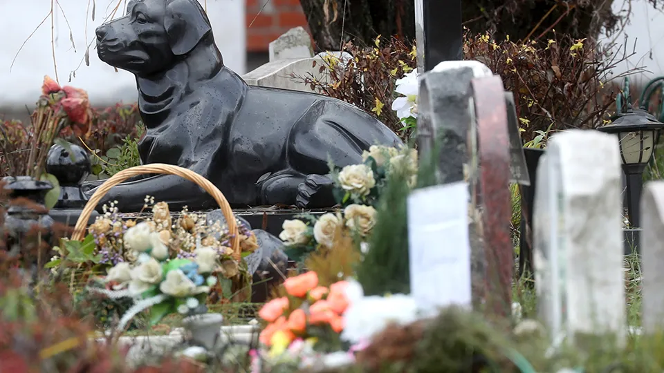 Фото: ТАСС/Вячеслав Прокофьев