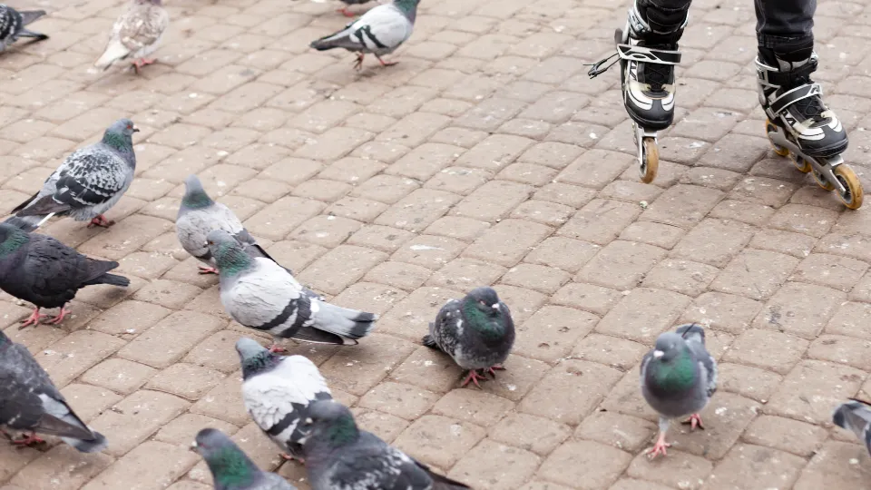 Фото: freepik.com