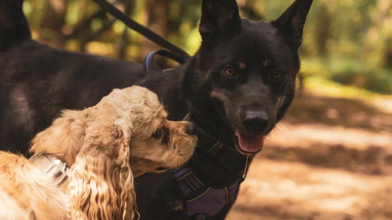 REGIONS/Наталья Надточая