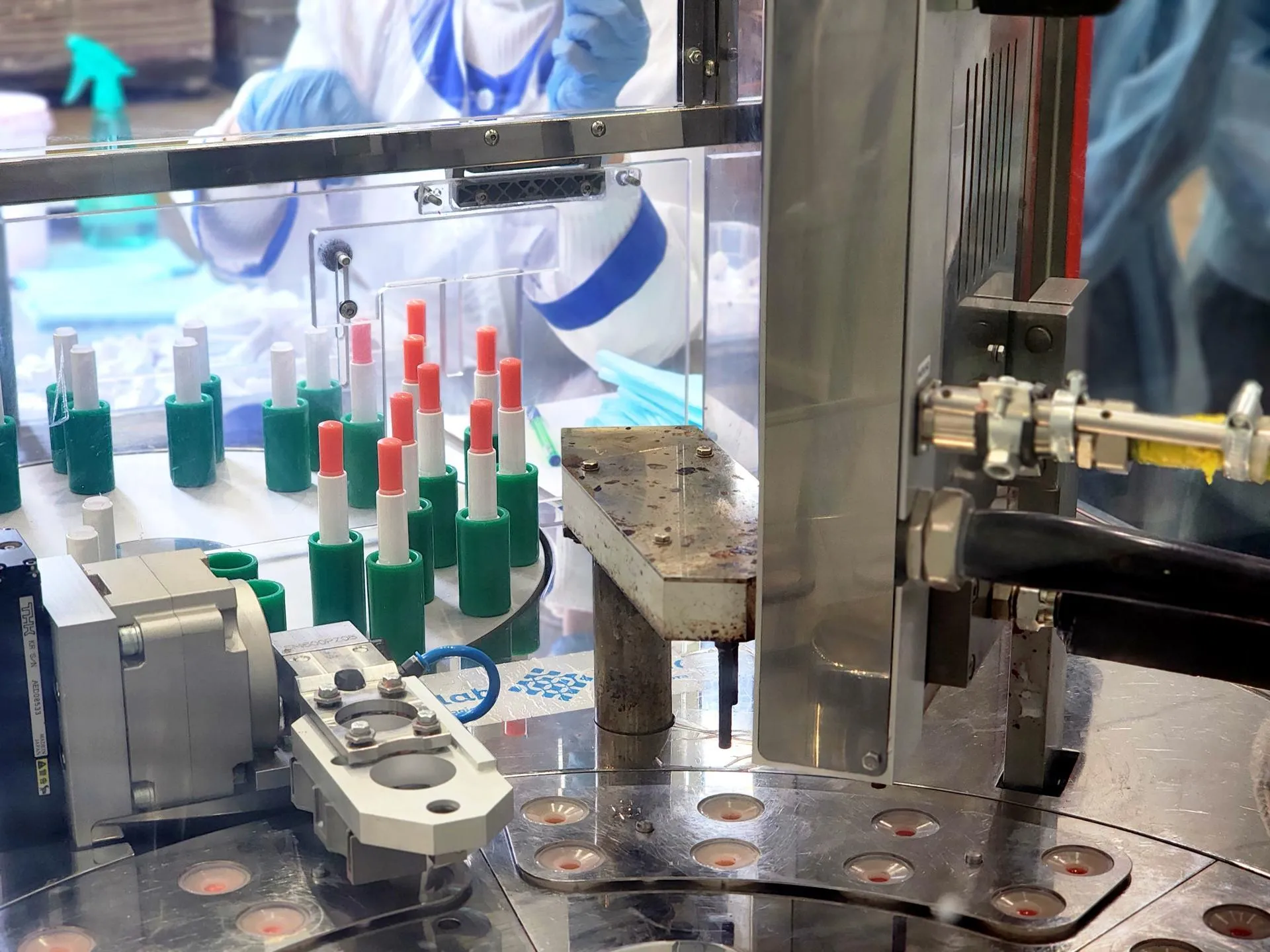 REGIONS/Полина Пахомова