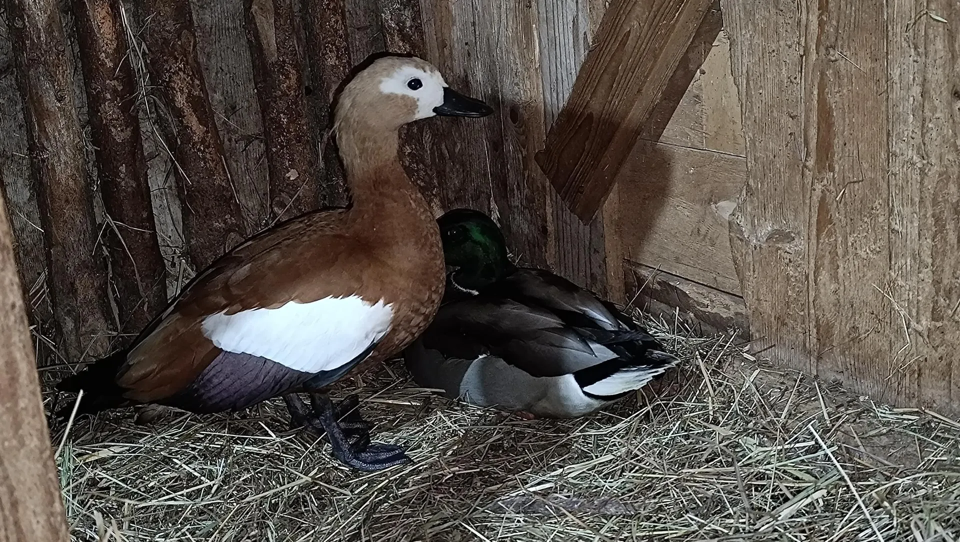 Фото: Екатерина Дятловская