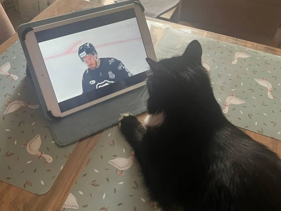 Фото: Министерство жилищной политики Московской области