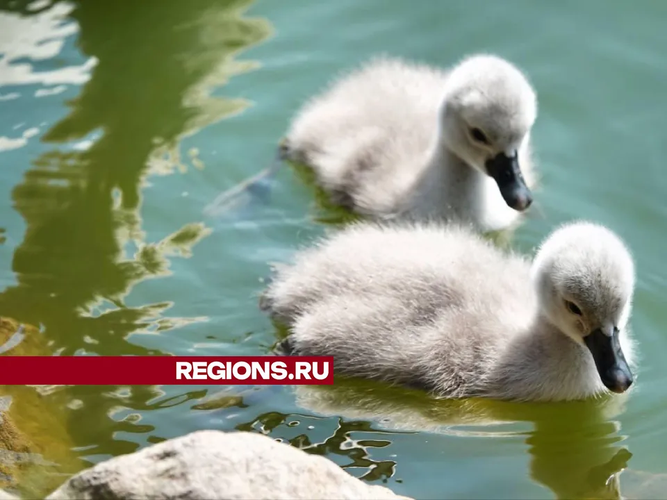 Фото: Дарья Леонова&nbsp;