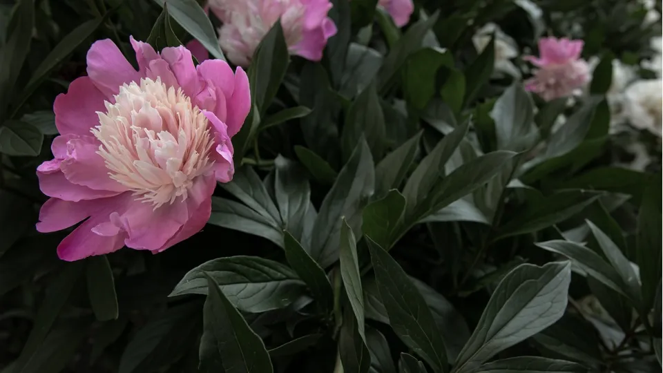 Фото: freepik.com