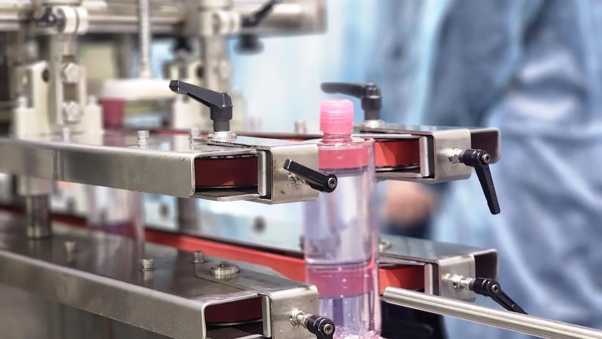 REGIONS/Полина Пахомова