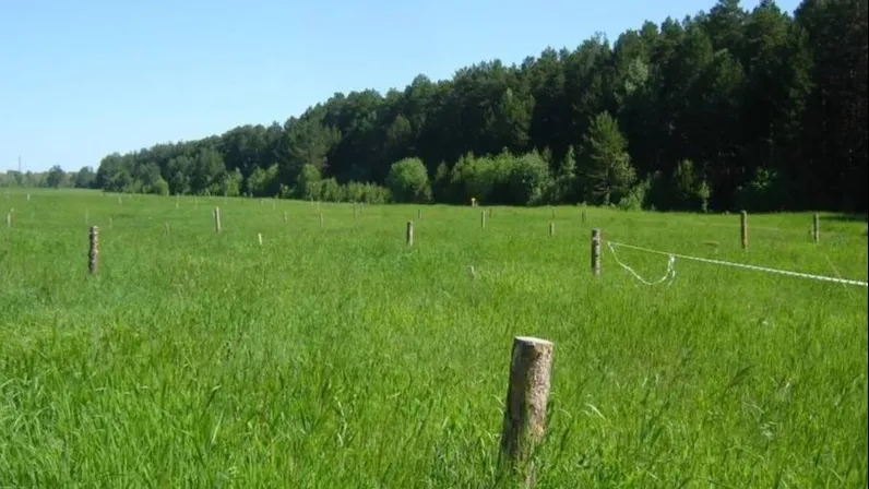 Фото: t.me/AnnaKrotova_Lobnya