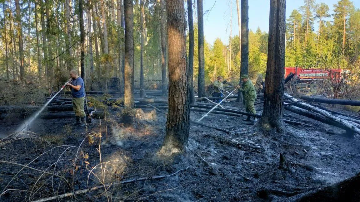 Комитет лесного хозяйства Московской области