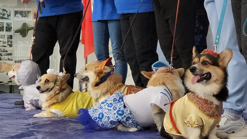 Фото: Валерия Тингаева