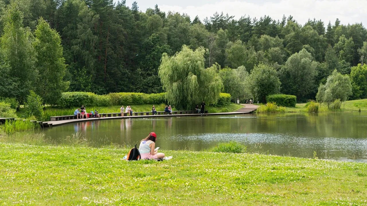 медиасток.рф