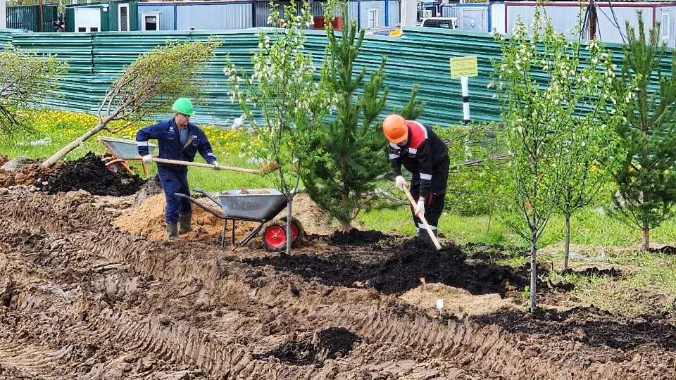 Фото: Елена Шумакова
