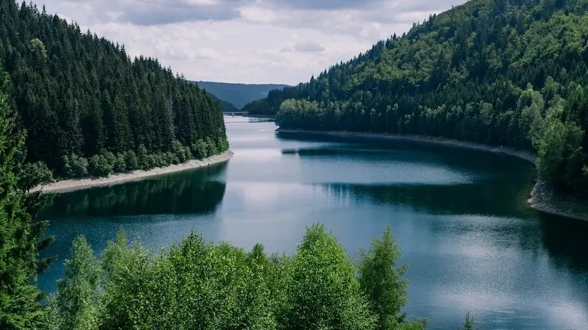 Фото: https://ru.freepik.com/