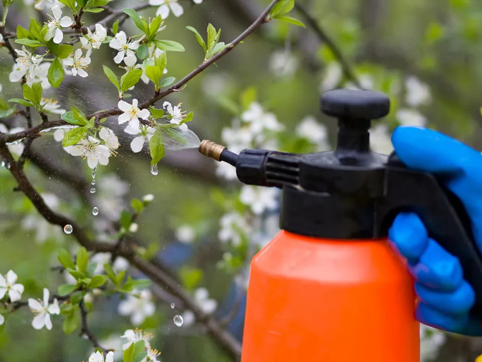 Фото: istockphoto.com