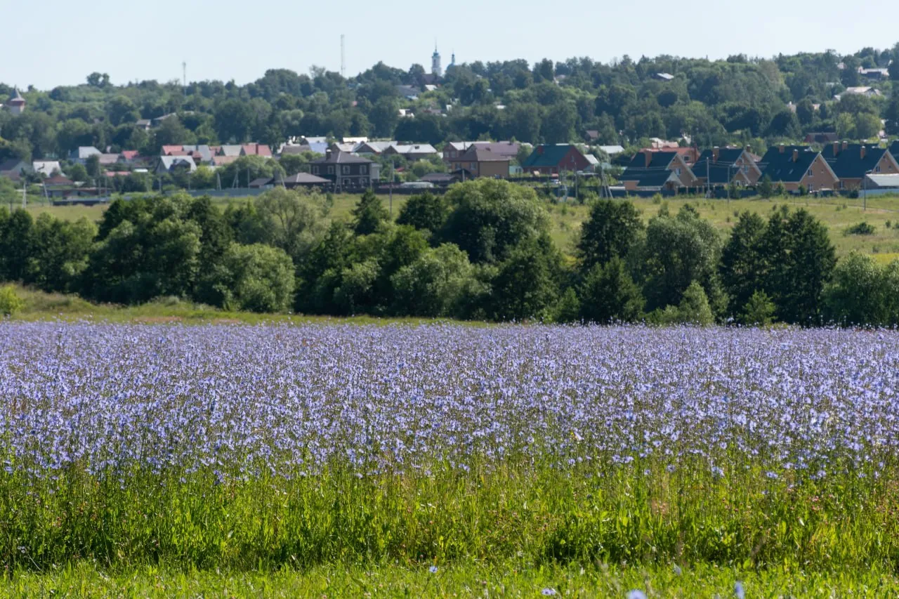 Фото: Евгений Мазепов