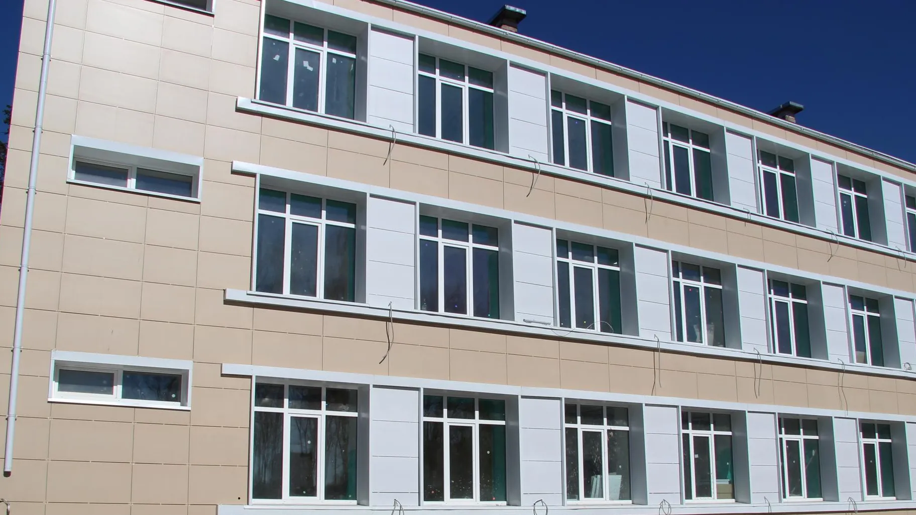 Анна Артюшина