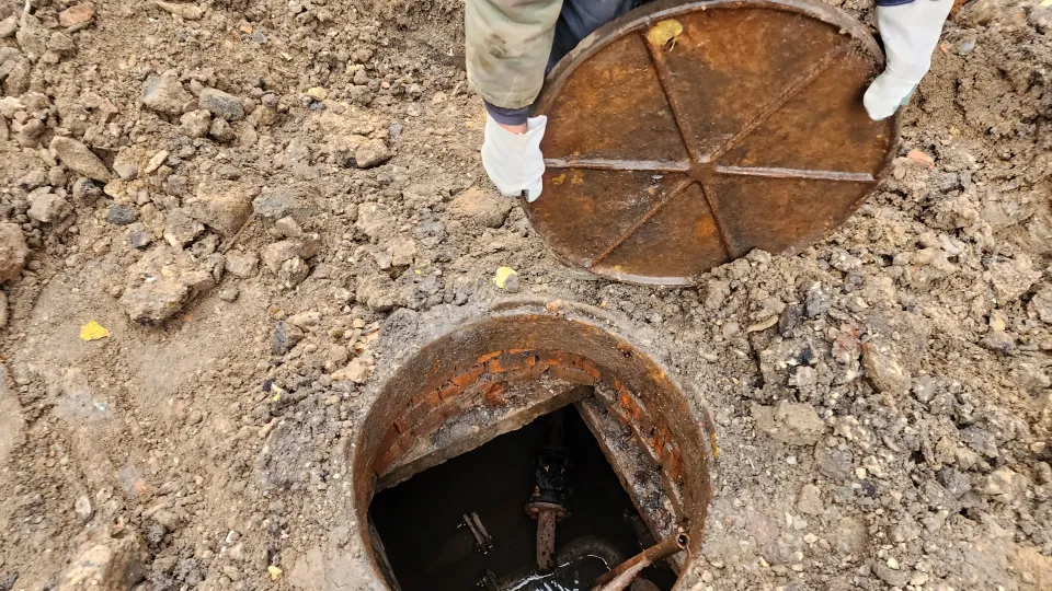 Фото: Дмитрий Алексеенко