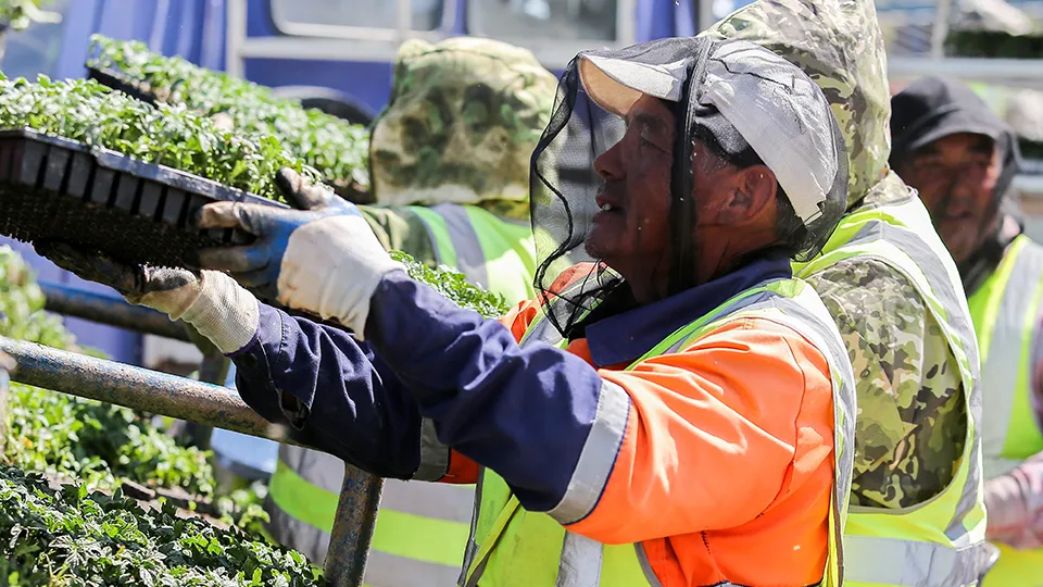 Фото: ТАСС/Павел Симаков