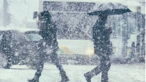 Снегопад. Фото: freepic.com