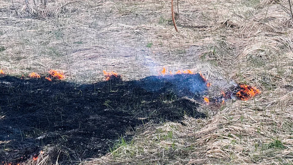 Фото: МедиаБанк Подмосковья/Татьяна Рунова