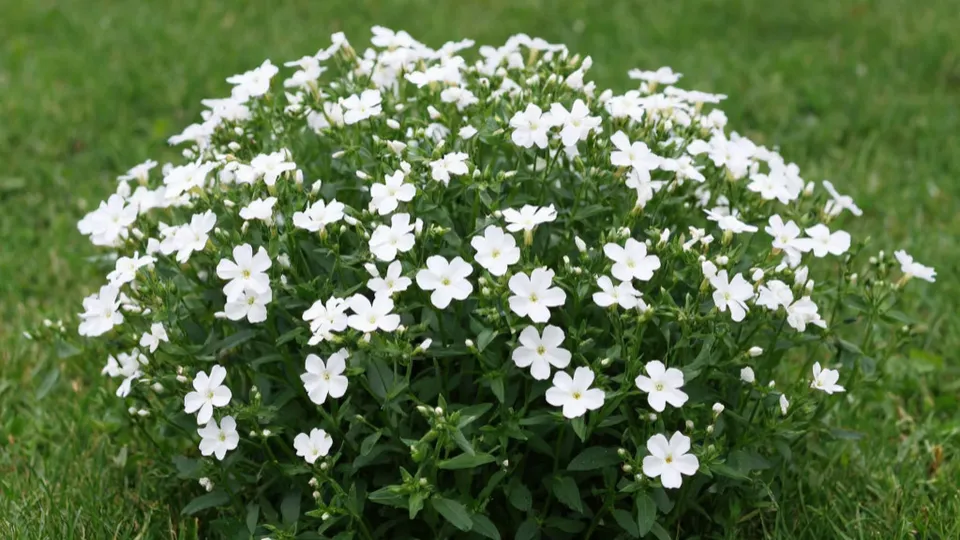 Фото: REGIONS/Сгенерировано нейросетью