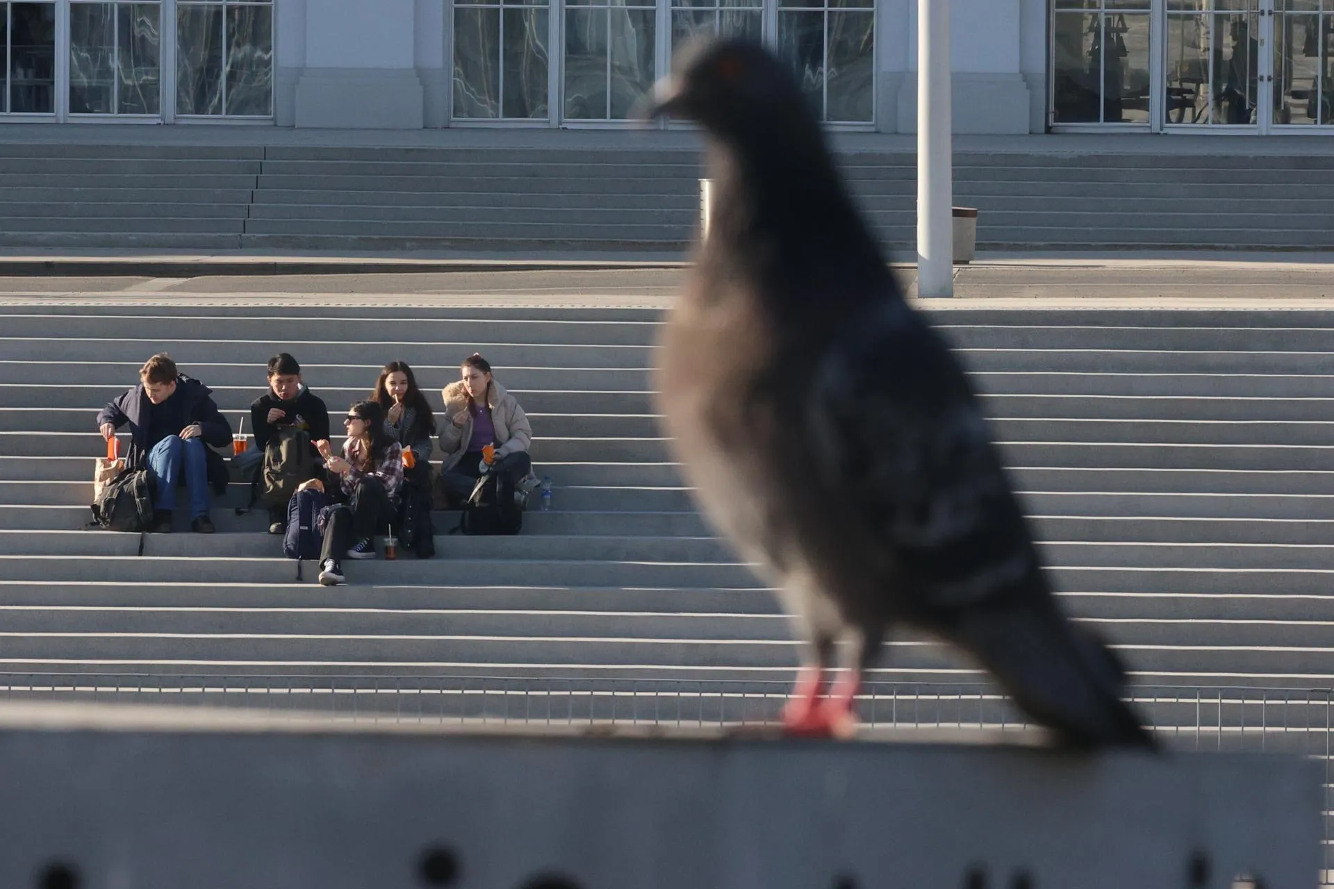 Alexey Belkin / Business Online