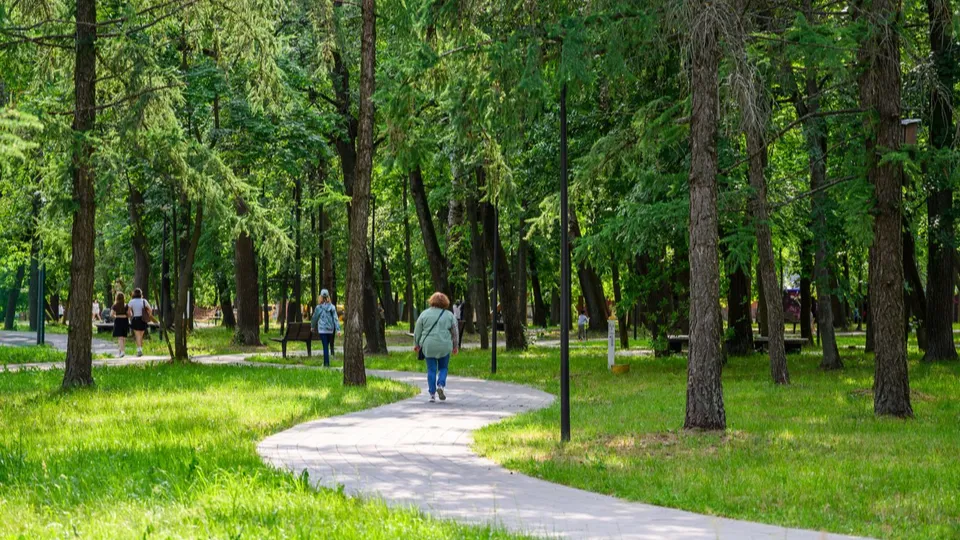 Фото: медиасток.рф