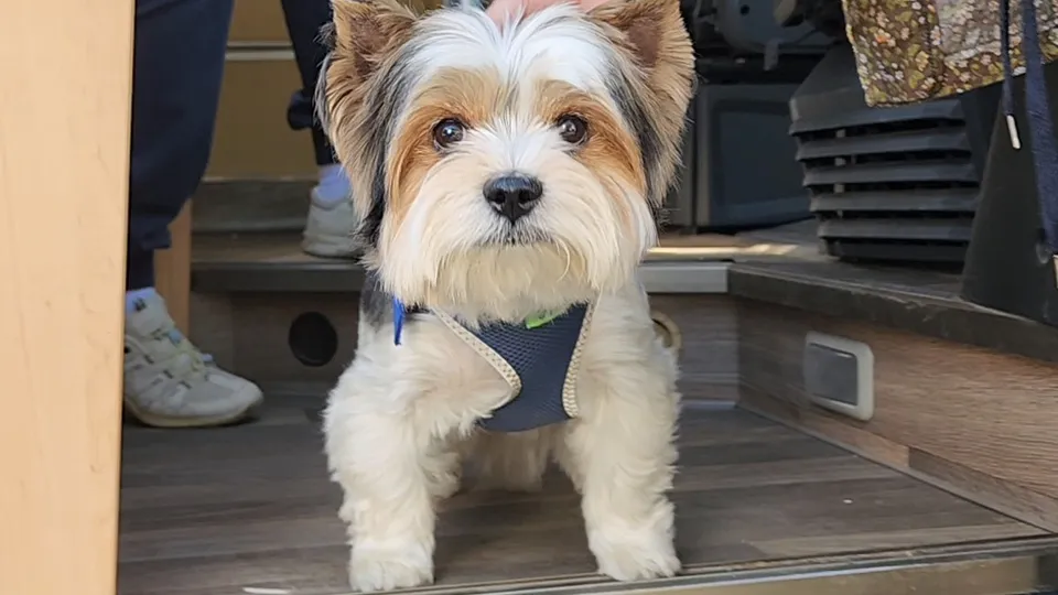 Фото: Андрей Семибратов