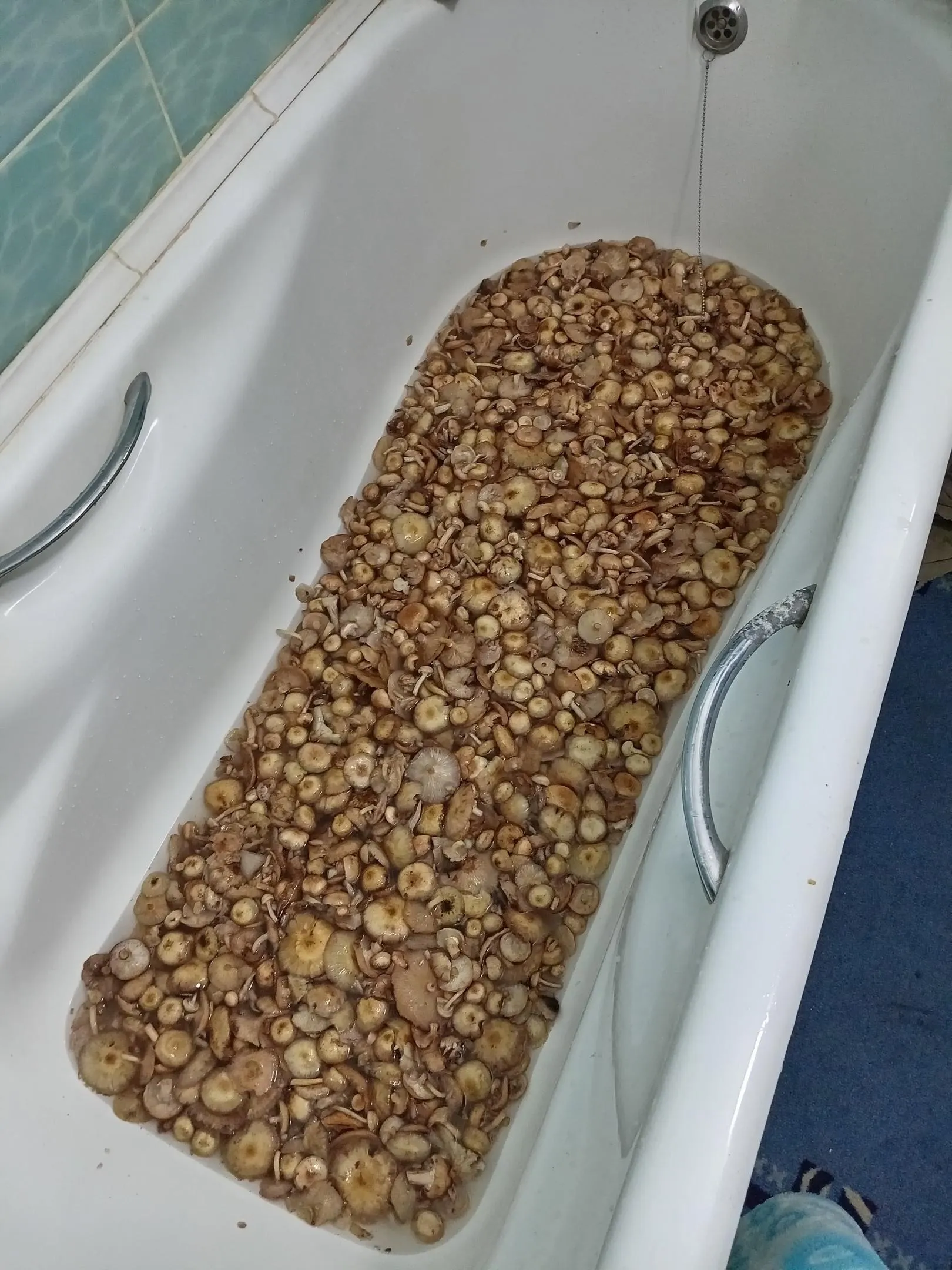 Подслушано Запрудня/ВКонтакте