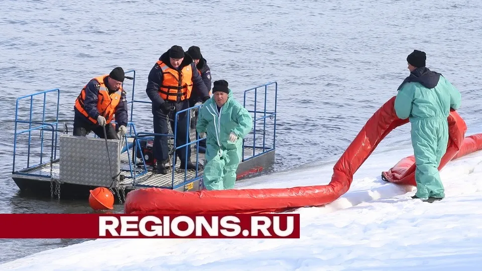 Фото: Александр Дрожжин