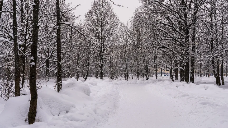 Фото: медиасток.рф