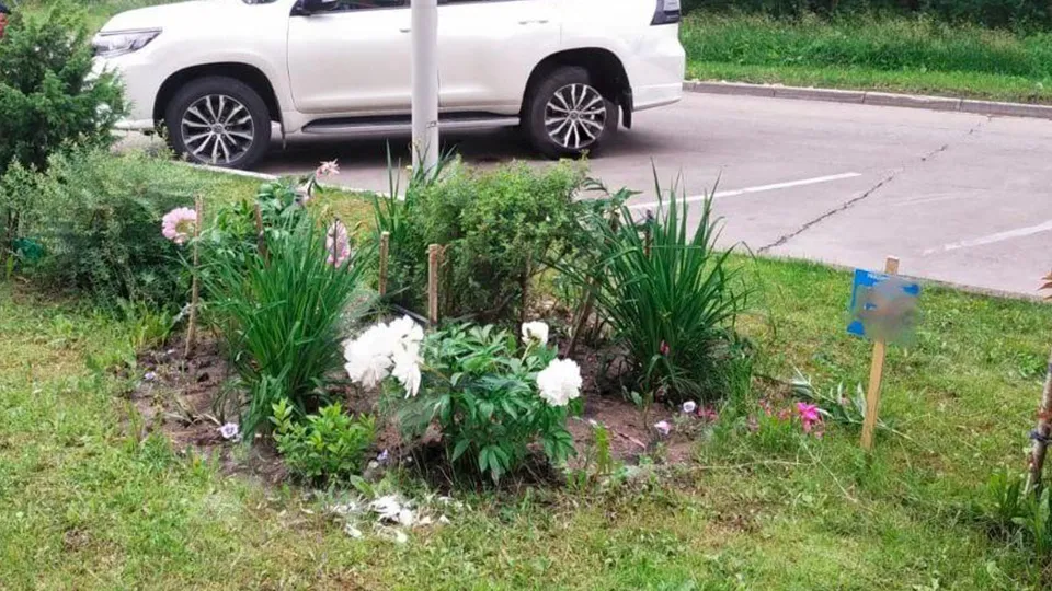 Фото: t.me/hello_istra