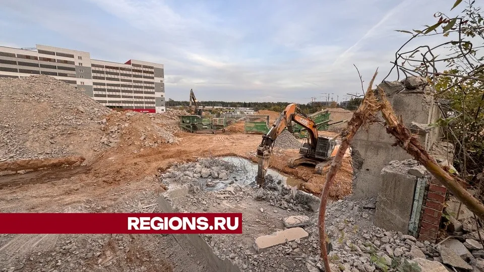 Фото: Мария Шматкова