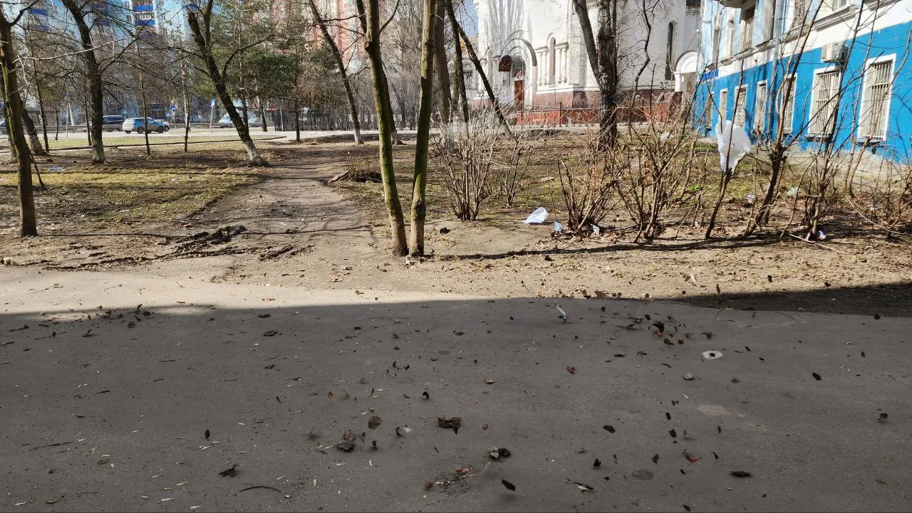 фото - Н. Лымарь&nbsp;