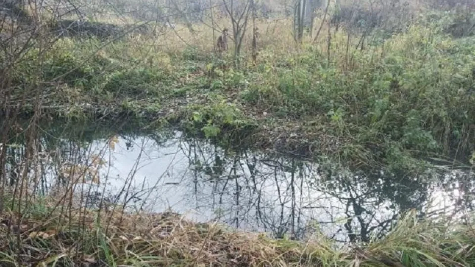 Фото: Минэкологии МО