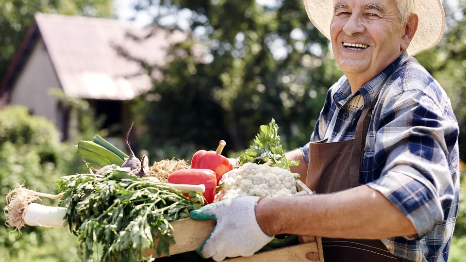 Фото: freepik.com