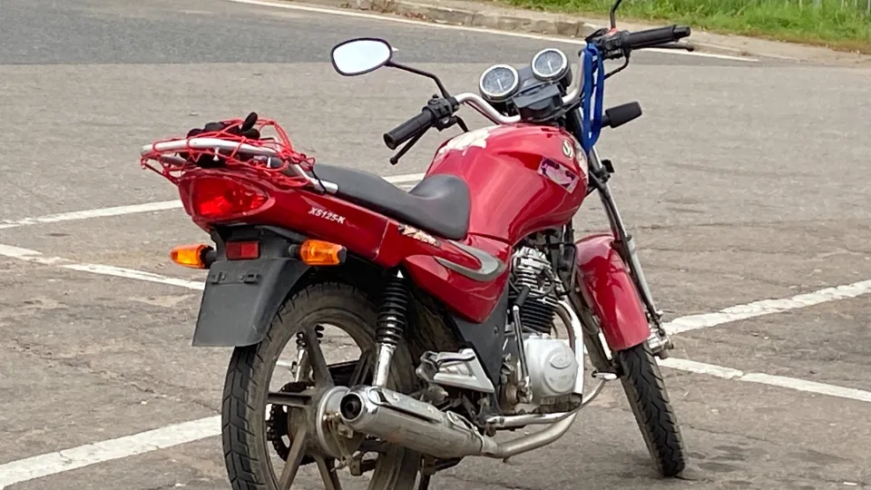 Фото: МедиаБанк Подмосковья/Светлана Борщева