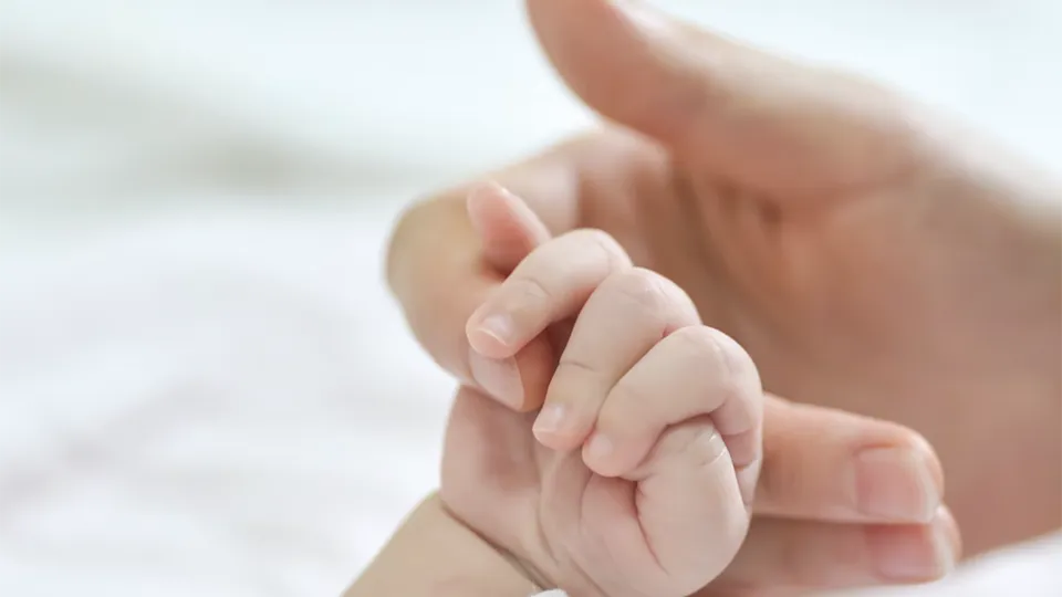 Фото: pxhere.com