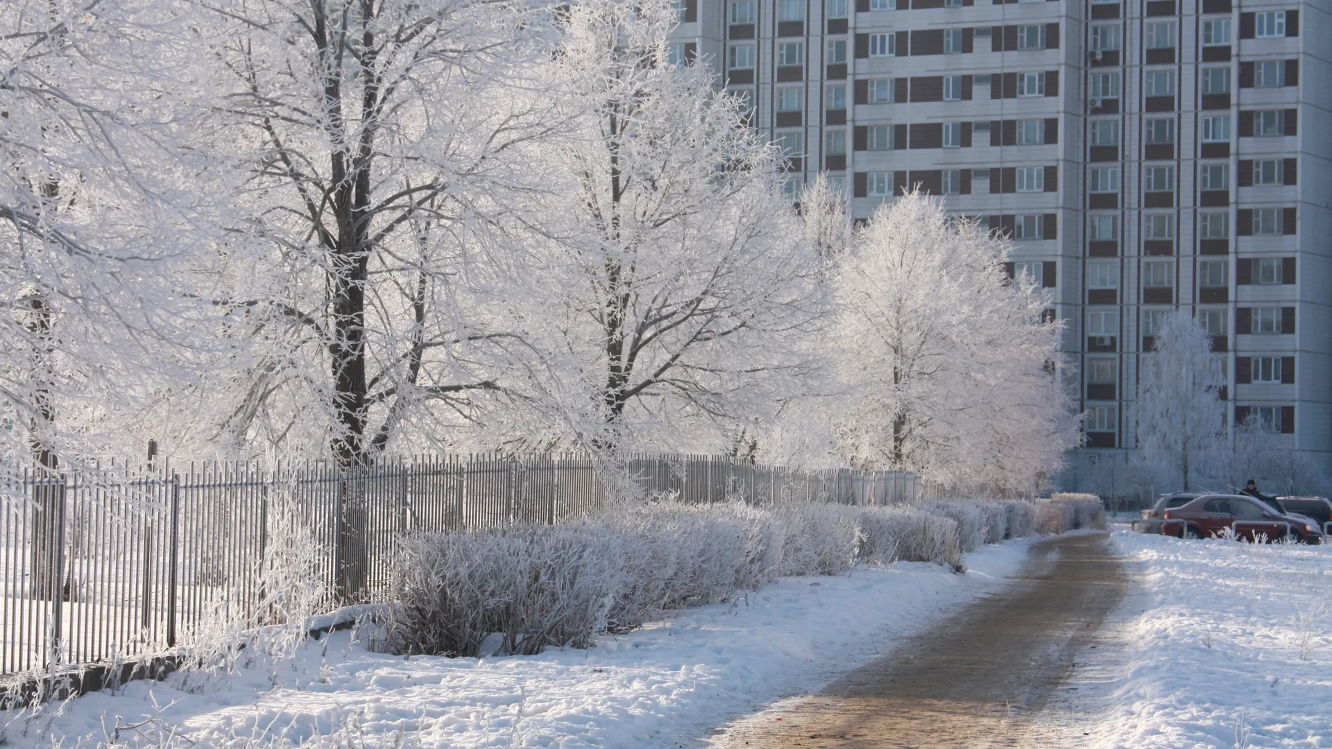 Мороз в Черноголовке