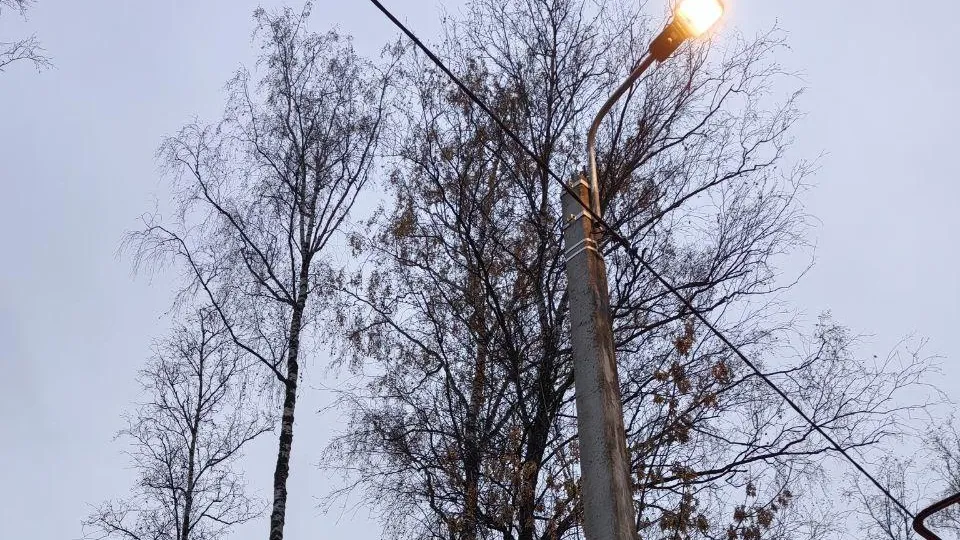 Фото: администрация г. о. Электросталь