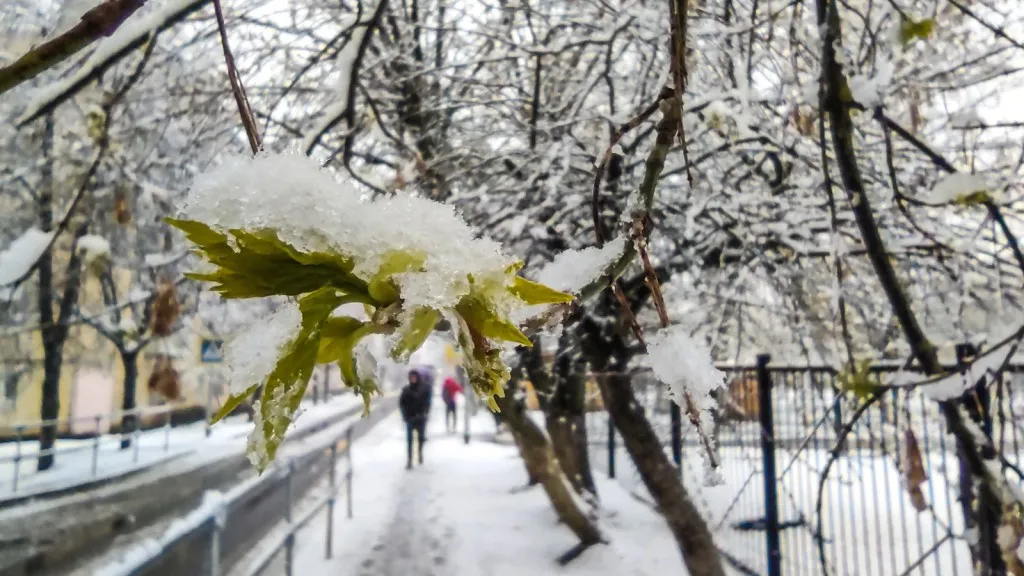 Фото: Антон Кондратюк