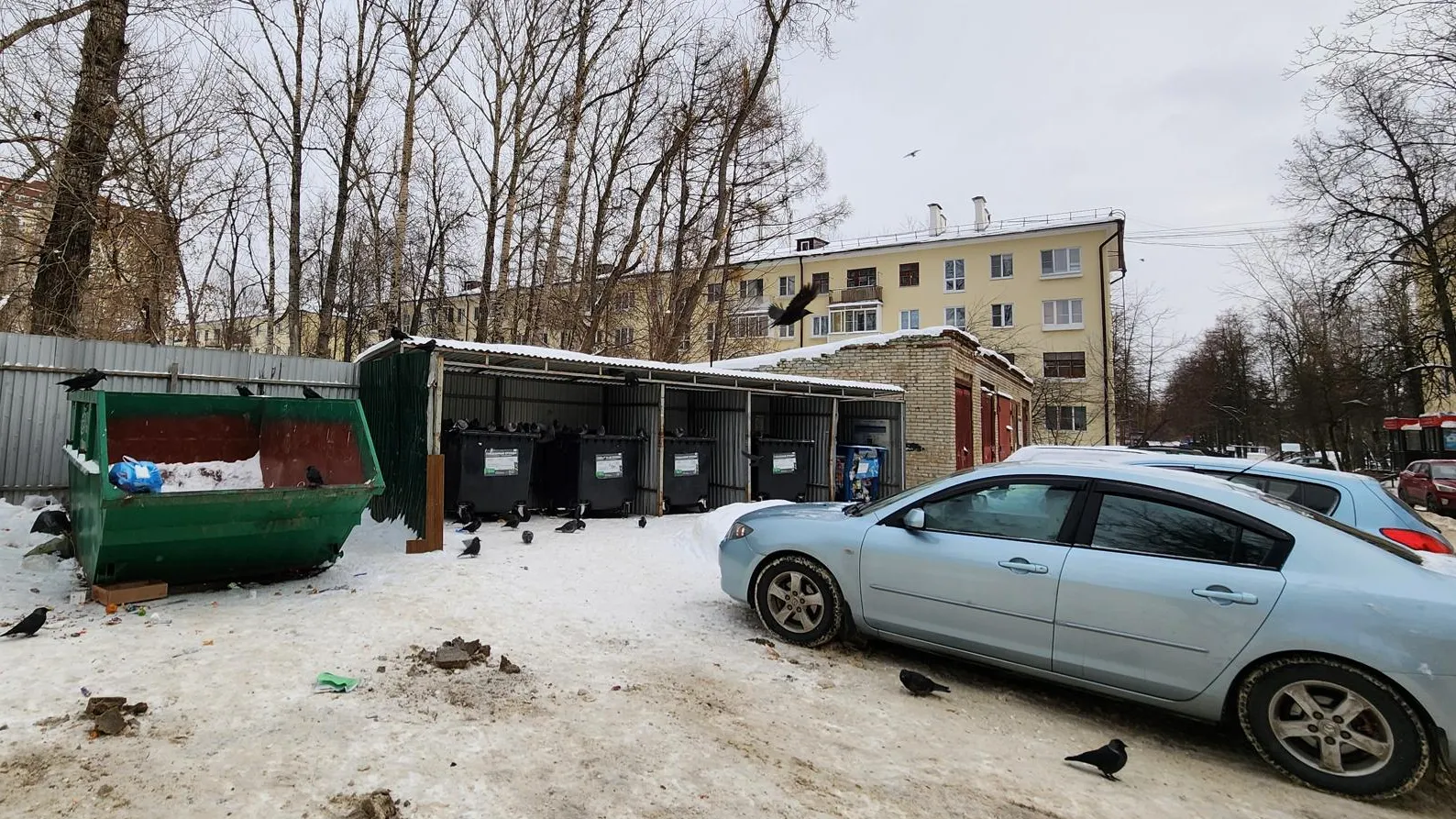 Фото: Светлана Плотникова