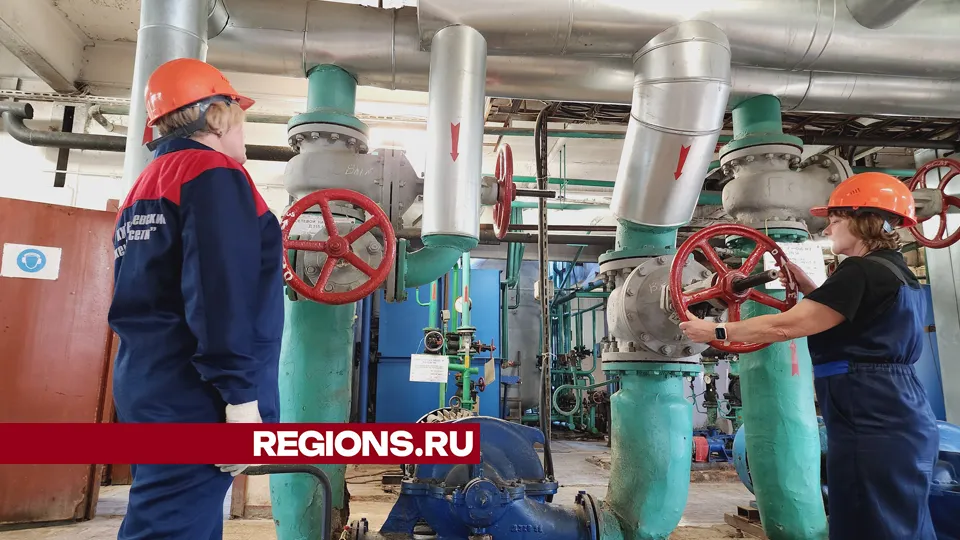 Фото: REGIONS/Василий Тремасов