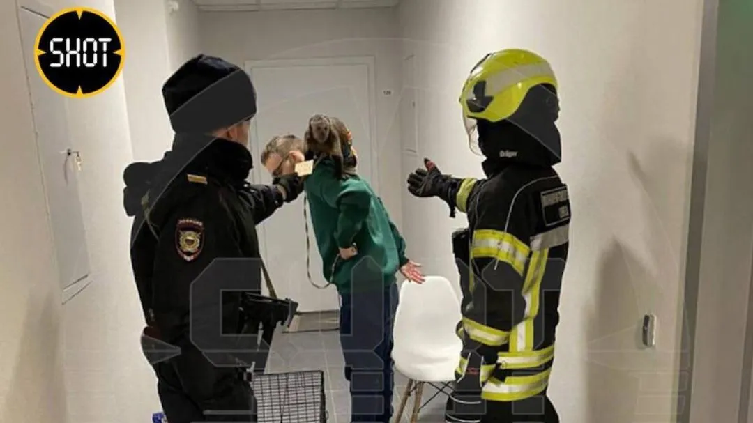 Фото: ТГ канал SHOT