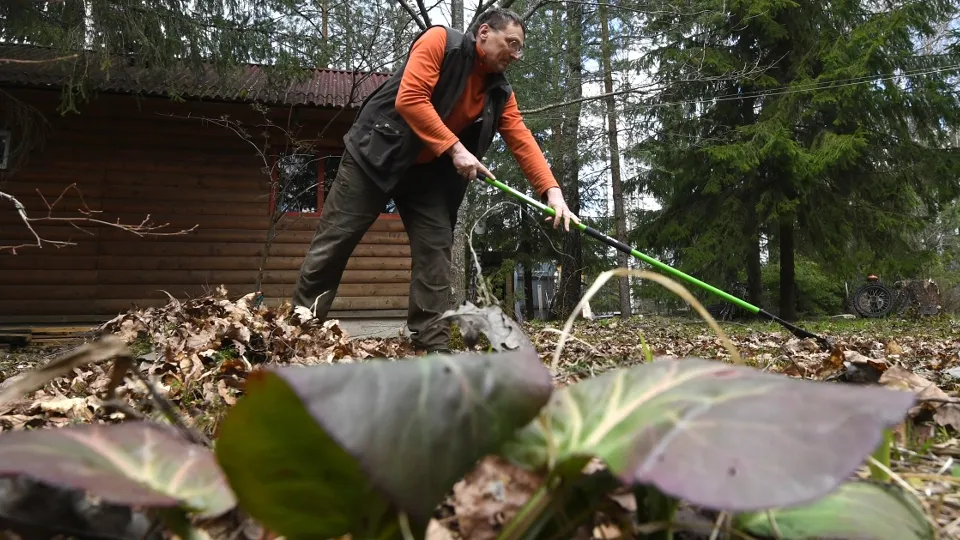 Фото: РИА Новости/Кирилл Каллиников