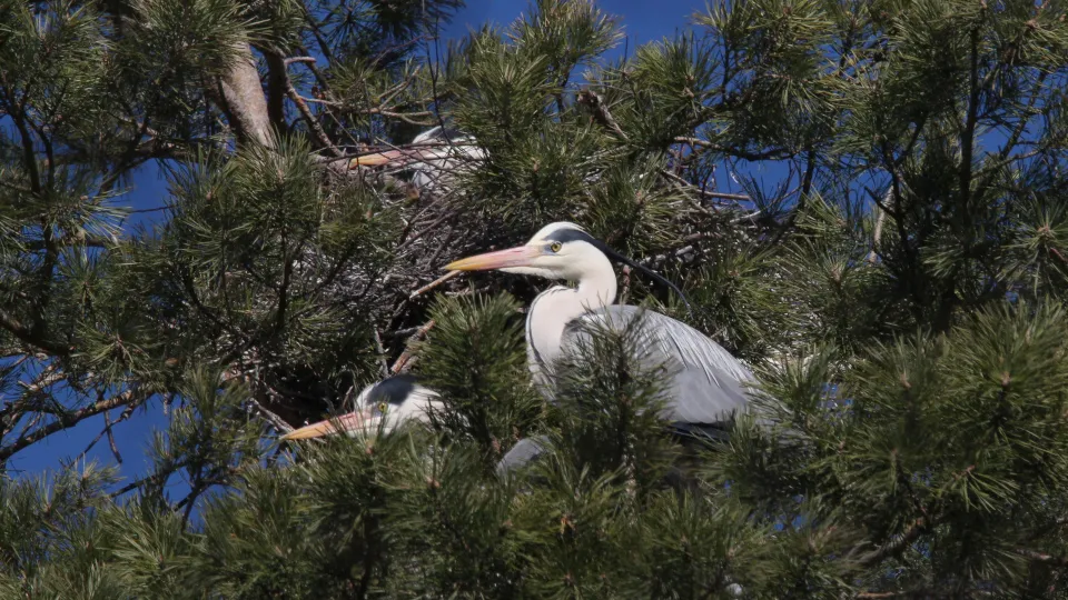 Фото: Евгений Ахатов